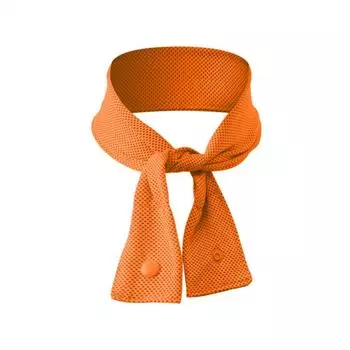 Банданы на шею Спортивная бандана Быстросохнущая Охлаждающая бандана на шею Дышащий Охлаждающий Ледяной шарф Походы