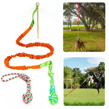 Банджи-игрушка для собак, подвесной щенок, играющие упражнения, интерактивное жевание для оранжевый