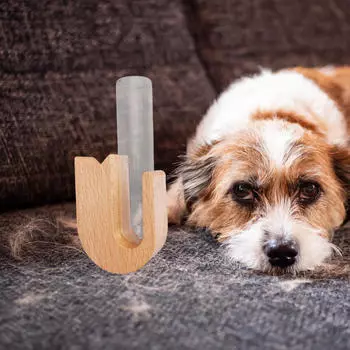 Банка-ваза в виде кошачьего уса, памятная коробка для хранения вещей для питомцев, коллекционирование бород Color A