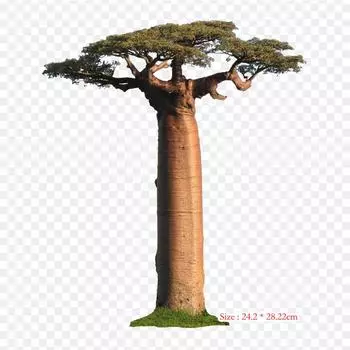 Baobab Avenue Of The S Adansonia Rubrostipa термопереносная печать виниловые нашивки наклейки для одежды DIY аппликации моющиеся нашивки