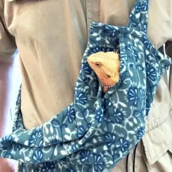 Бархатная регулируемая сумка-переноска для ящериц Сумка-переноска для бородатого дракона Переноска для рептилий Дорожная сумка для рептилий синий