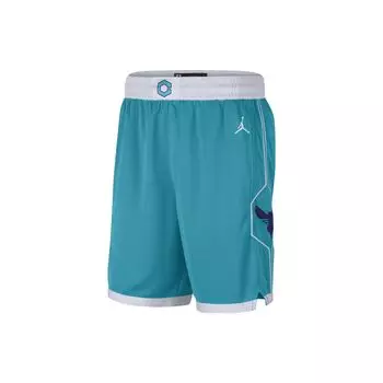 Баскетбольные шорты Jordan NBA с цветными блоками и логотипом, мужские штаны, синие, зеленые, CN8083-443 XL