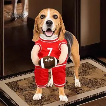 Баскетбольный костюм для собак с мячом, костюм для косплея для домашних животных, спортивная одежда для собак, держащих мяч, одежда для баскетболистов M синий