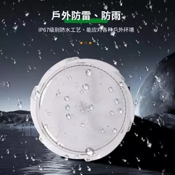 Bauhinia Солнечный потолочный светильник Уличный водонепроницаемый светильник для гостиной Светодиодный светильник для дома Внутренний светильник для прохода Балкон Коридор Спальня Лампа 100w