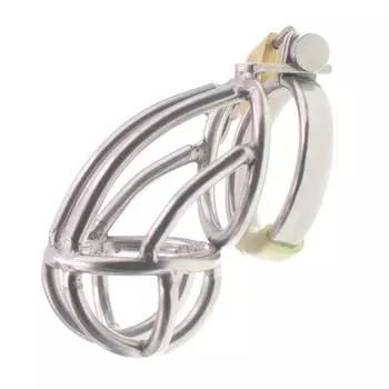 БДСМ клетка для пениса из нержавеющей стали, секс-инструменты для мужчин и взрослых, бондаж CB Lock, рабские кольца для пениса, пытки, пытки уретры, целомудрие 38mm