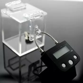 БДСМ Секс-игрушки Клетка целомудрия Ключ Безопасный держатель для ключей целомудрия Брелок для ключей Секс-игра для пары с акриловой коробкой Сексуальная игрушка Only box