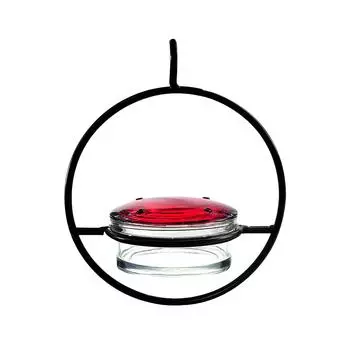Beautiful Circular Hanging Hummingbird Feeder Outdoor Hanging Humming Bird Feeder 3pc