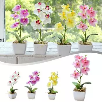Beautifully Designed 5head Phalaenopsis Flower Plant Bring Nature Indoors жёлтый