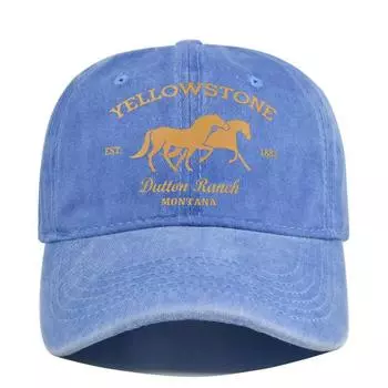 Бейсболка Снэпбэк Шляпа YELLOWSTONE Солнечная шляпа Весна Осень 5 Adjustable