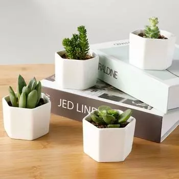 Белый креативный керамический небольшой шестигранный цветочный горшок для суккулентов с бамбуковым и деревянным подносом, балконный зеленый горшок для садовых суккулентов 1 pc белый