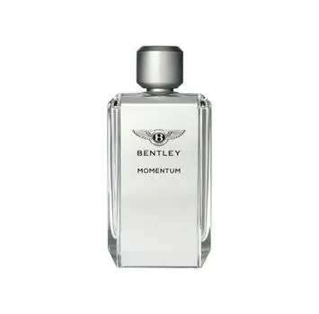 Bentley Momentum туалетная вода 100 ml