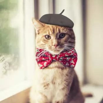 Берет для домашних животных, аксессуары для головных уборов, береты для кошек, подходящие для фотографии домашних животных, одевания художника для собак One Size чёрный