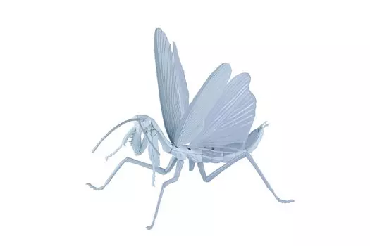 Бесплатная исследовательская серия «Клетки на работе» Гигантская белая кровяная клетка богомола Пластиковая модель № 235 (нейтрофил) Вер.