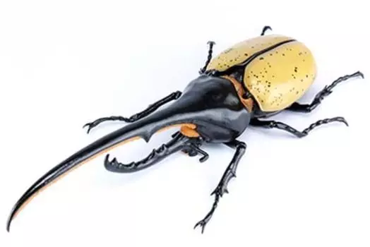 Бесплатная серия исследований Creatures Edition Hercules Beetle Yo Morinaga Руководство Технические характеристики Пластиковая модель № 26 EX-2 Mr. Объяснение/Инструкция
