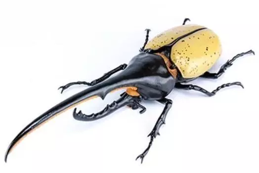 Бесплатная серия исследований Creatures Edition Hercules Beetle Yo Morinaga Руководство Технические характеристики Пластиковая модель № 26 EX-2 Mr. Объяснение/Инструкция