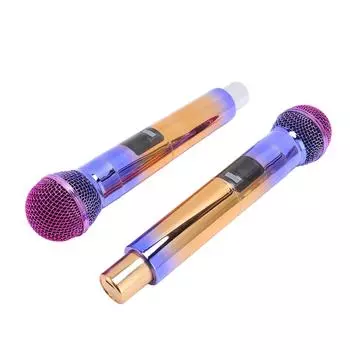 Беспроводная система из 2 микрофонов с двухканальным приемником 2.4G, портативный миниатюрный комплект с подвижной катушкой