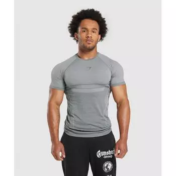 Бесшовная футболка GYMSHARK Elite Pitch Grey Светло-серый A4A9I GCJK XXL