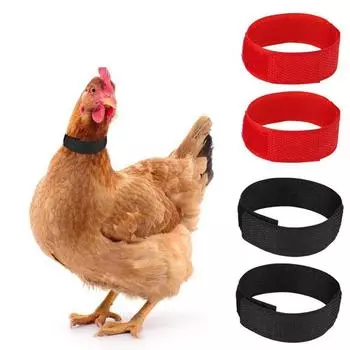 Бесшумный Предотвращает Кукареканье Куриный Ошейник Товары Для Фермерских Животных Ошейник Для Петухов Ошейник Для Птицы Upgraded Version