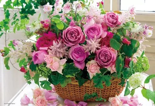 Beverly 1000 Micro Jigsaw Puzzle Grace Fleur x (26 38cm) M81-647