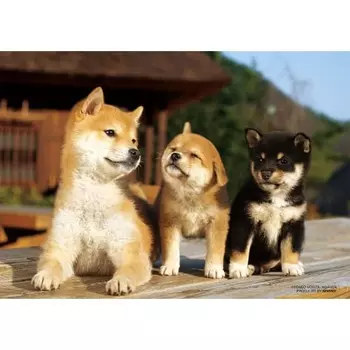 BEVERLY 88 Piece Jigsaw Puzzle Veranda Friend Large Piece (18.2x25.7cm)