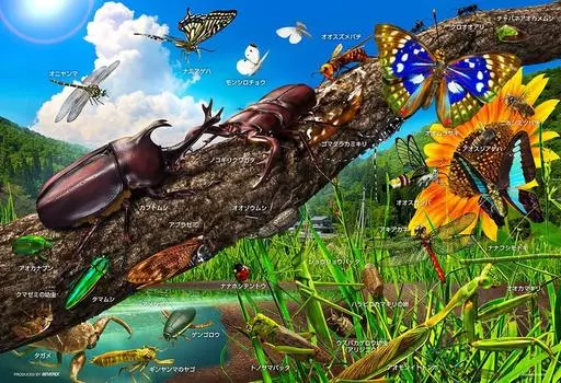 BEVERLY in BEVERLY 100 Piece Jigsaw Puzzle learn about Japanese [Made Japan] Let s insects! (2638cm) 100-034