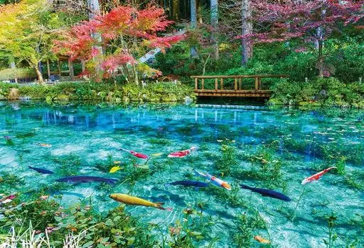 BEVERLY in Beverly 300 Piece Jigsaw Puzzle Colorful Pond x [Made Japan] Monet s (26 38cm) 300-025