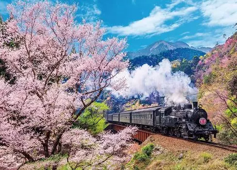 BEVERLY in Beverly 600 Piece Jigsaw Puzzle Oigawa Railway and Cherry Blossoms x [Made Japan] (38 53cm) 600-006