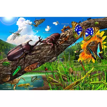 BEVERLY [Made in Japan] BEVERLY 100 Piece Jigsaw Puzzle Let s learn about Japanese insects (2638cm) 100-034