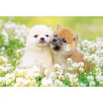 BEVERLY [Made in Japan] Beverly 300 Piece Jigsaw Puzzle First Love Dog (26 x 38cm) P33-205