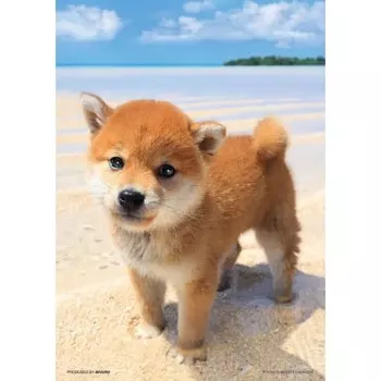 BEVERLY [Сделано в Японии] Пазл Beverly из 108 деталей Мое море (18,2 х 25,7 см)