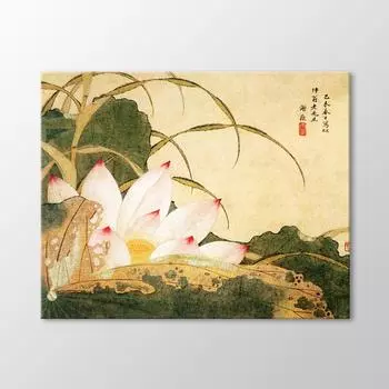 Без названия Таблица