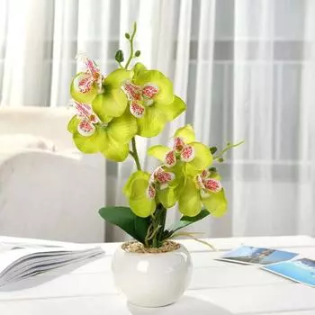 Без полива имитация фаленопсиса цветной красивый сад балкон искусственный искусственный шелк цветок украшение красный