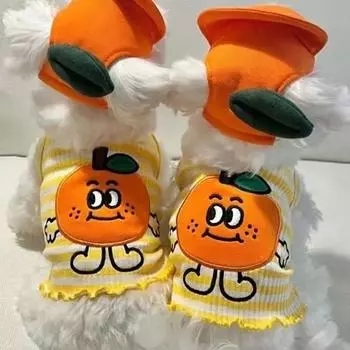 Без шапки, весенний жилет для маленьких домашних собак, померанский шпиц, одежда с героями мультфильмов, мягкий пуловер для шнауцера, пудель, двухлапый щенок, одежда для домашних животных XS