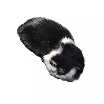 Безопасная и милая эмуляция кошки, нетоксичный опыт, мягкая и спящая для различных сценариев, эмуляция, eeping black