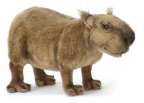 BH5128 HANSA Capybara 33