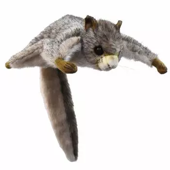 BH5855 HANSA Белка-летяга 35