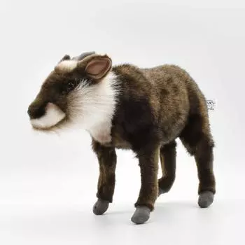 BH6213 HANSA Японский сероу 32