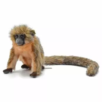 BH6230 HANSA Titty Monkey 18