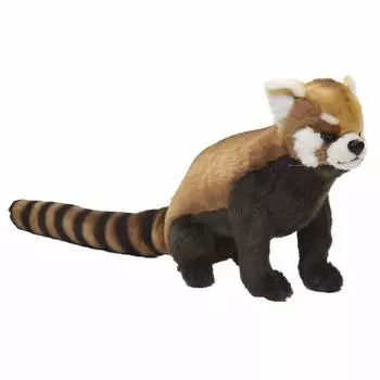 BH6301 HANSA Red Panda 61