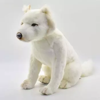 BH6343 HANSA Хоккайдо Кен 60