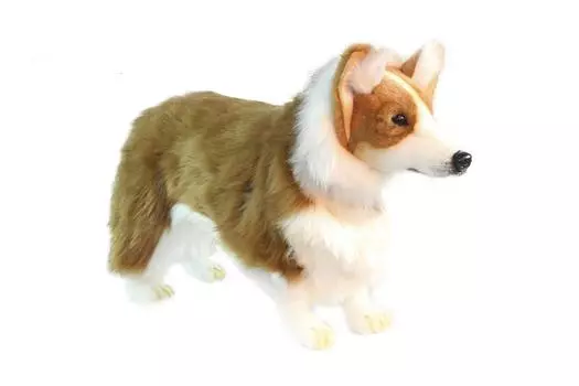 BH6686 HANSA Вельш-корги 50