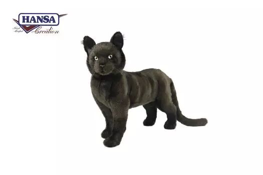 BH7027 HANSA Куронеко 37