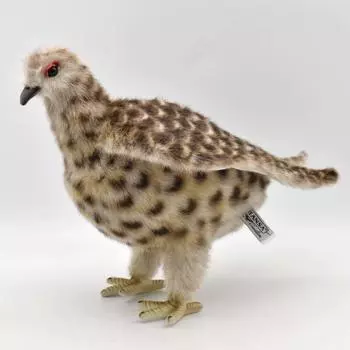 BH7647 HANSA Grouse Лето 28
