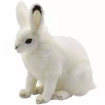 BH7851 HANSA Арктик Кролик 30 белый