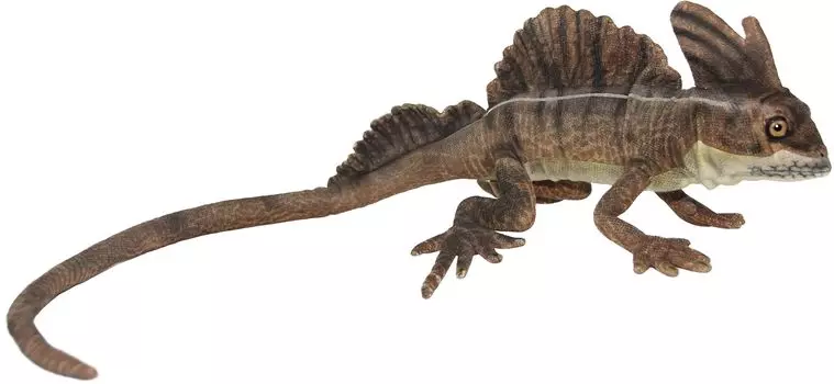 BH8037 HANSA Коричневый Василиск 69