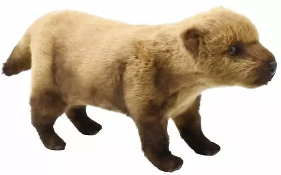 BH8146 HANSA Ябуину 48