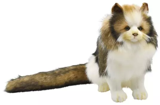 BH8154 HANSA Норвежская лесная кошка 35