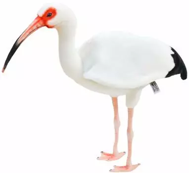 BH8192 HANSA Широтоки 54