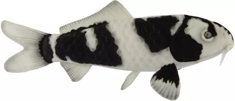 BH8282 HANSA Nishikigoi White 52