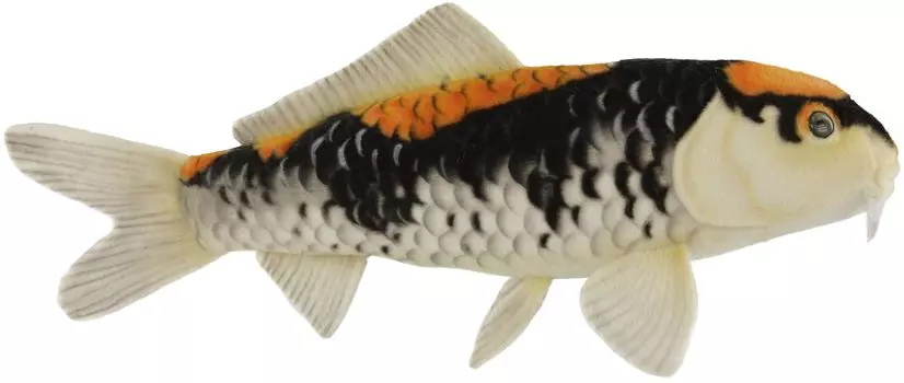 BH8295 HANSA Нисикигои Гошики 52